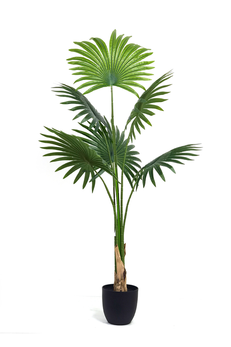 Planta Artificial Palmera Fan 1.20 cm - Figuras decorativas