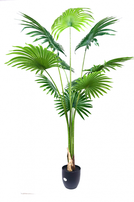 Planta Artificial Palmera Fan 1.80 cm - Figuras decorativas