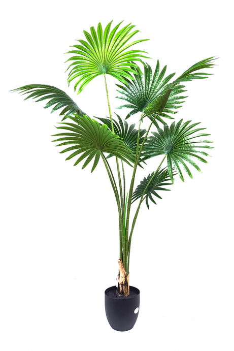 Planta Artificial Palmera Fan 1.60 cm - Figuras decorativas