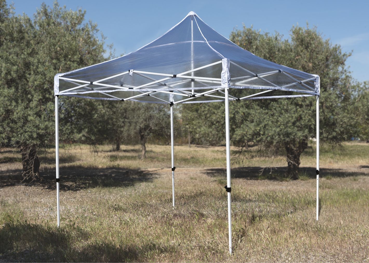 Carpas Plegables Eventos